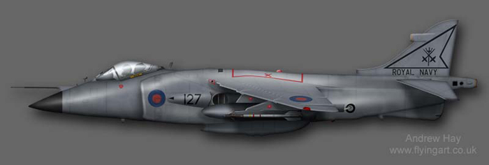 Sea Harrier FRS.1  XZ455 800 NAS